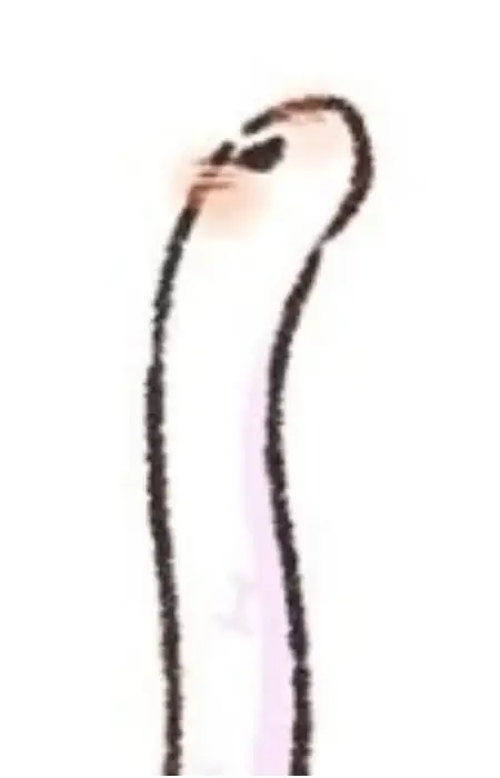 Balingjun